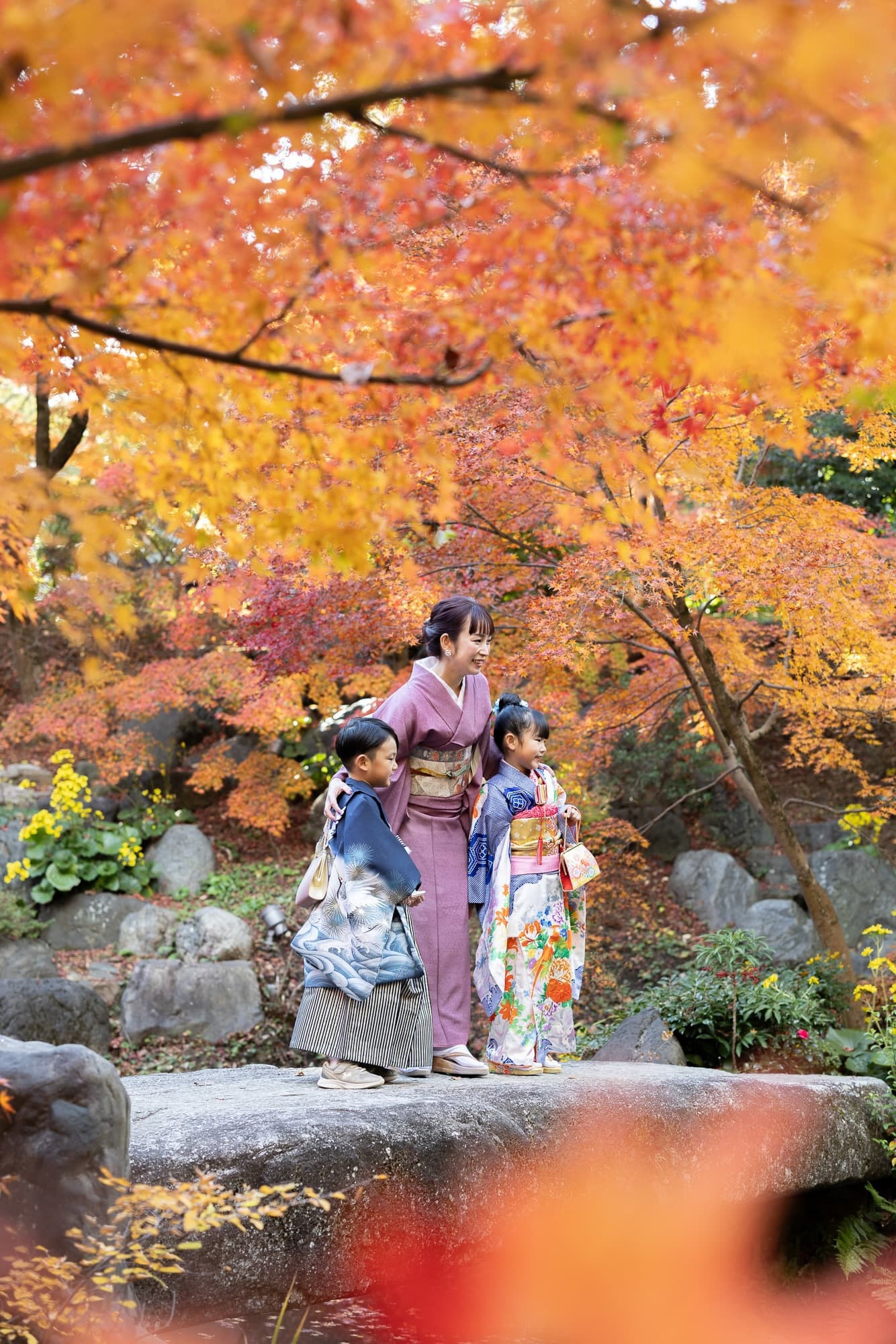 七五三の子供とお宮参りの赤ちゃん
