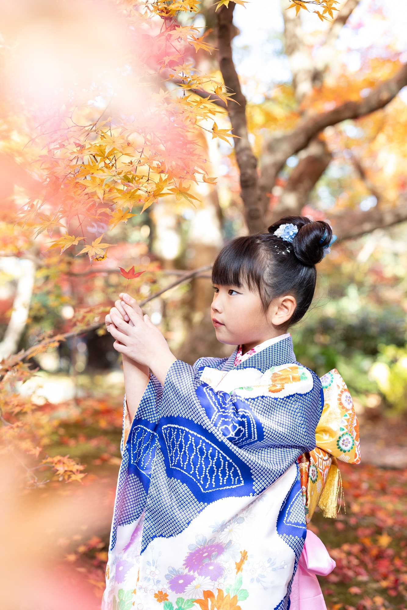 七五三の子供とお宮参りの赤ちゃん