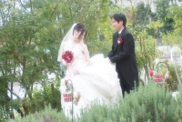 結婚式写真の口コミ評判