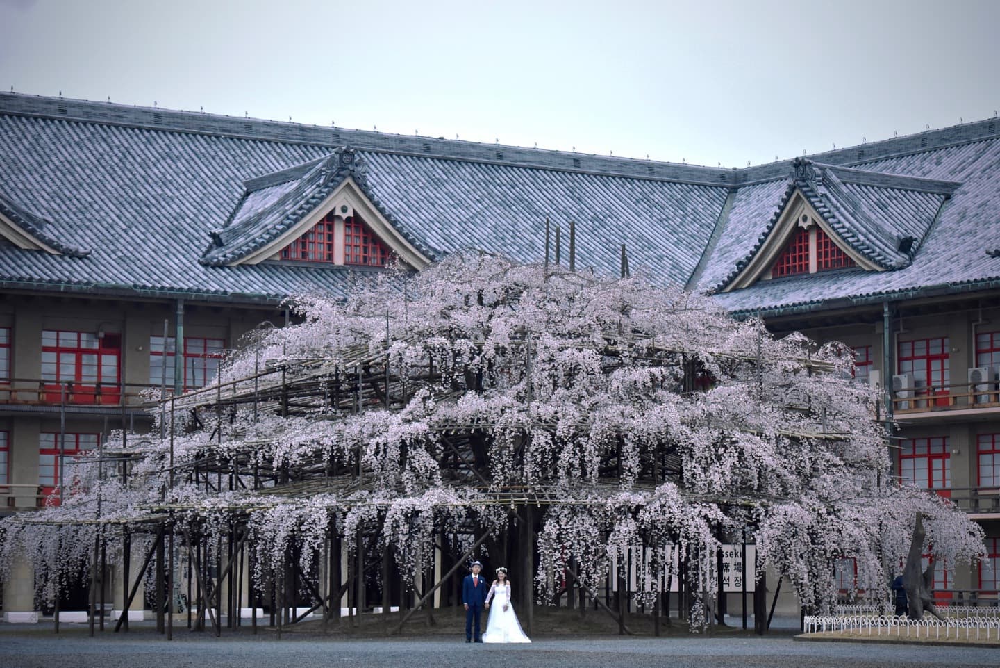 奈良でフォトウエディングの和装写真