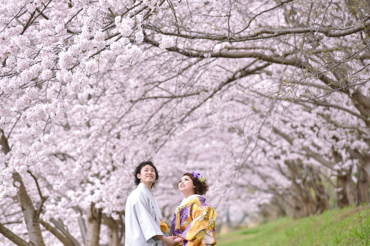 奈良で和装前撮りフォトウェディングの写真