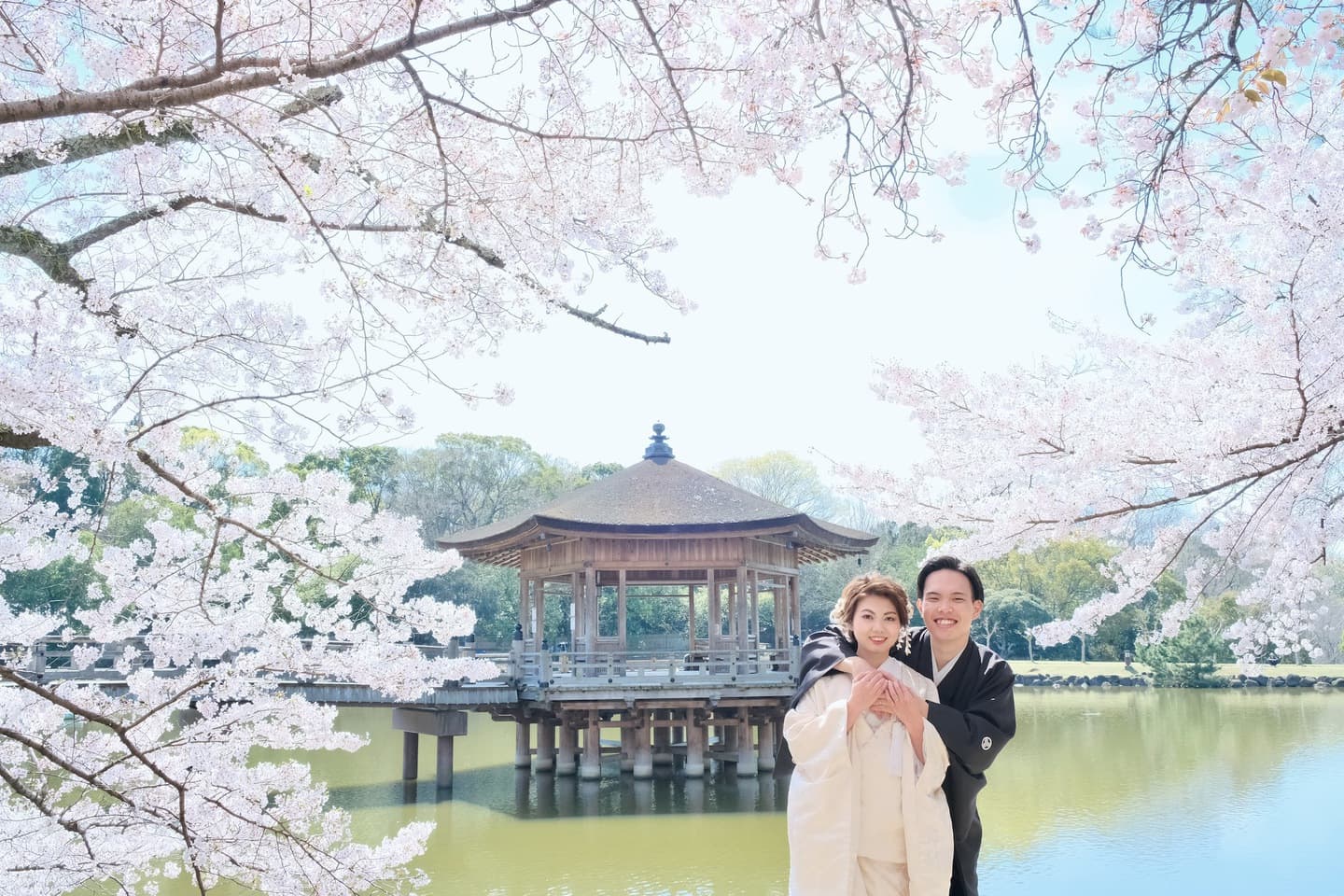 奈良公園の桜でフォトウエディングのカップル