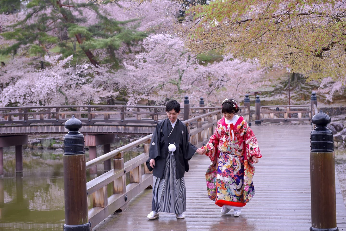 奈良公園の桜でフォトウエディングのカップル