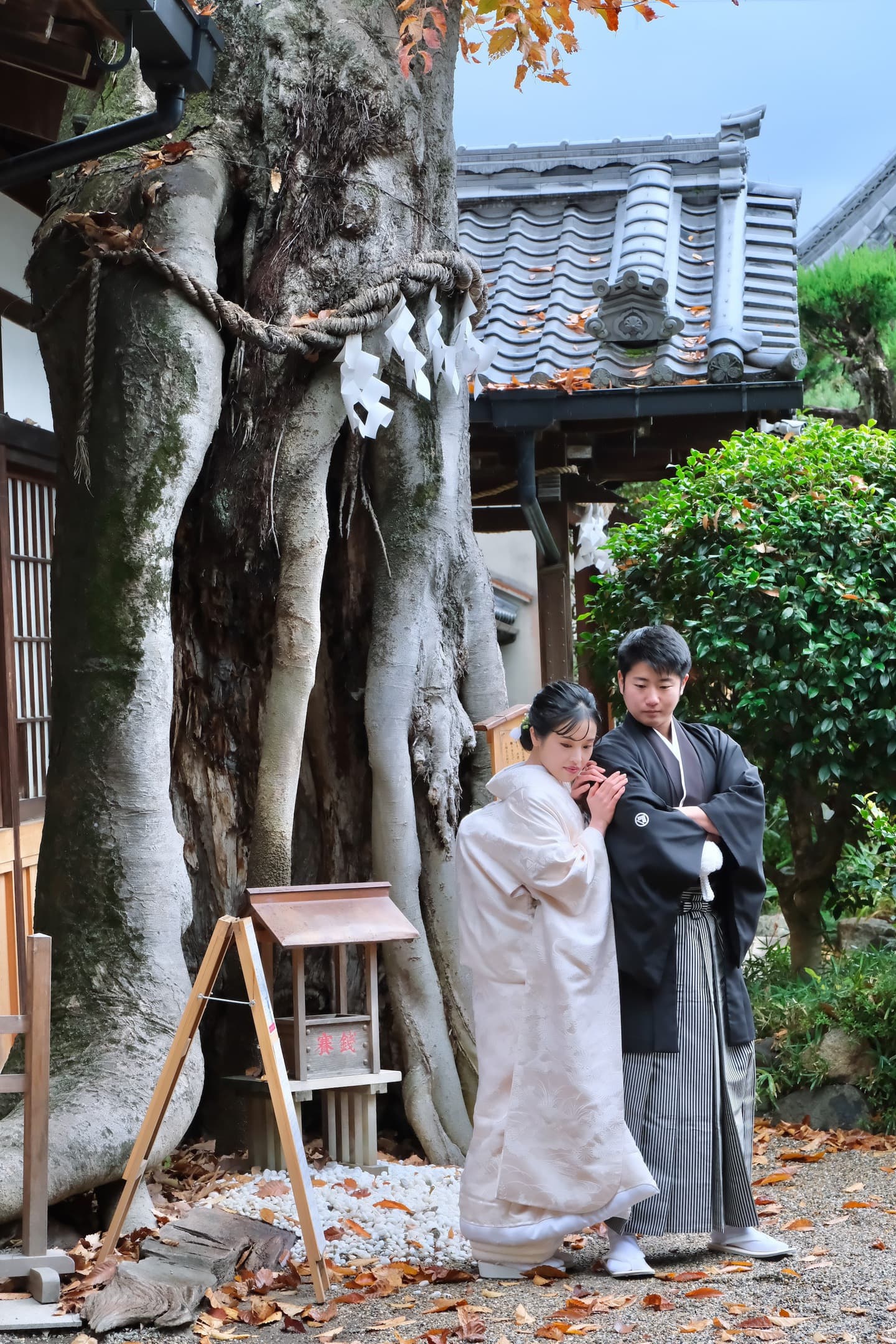 奈良の神社で和装前撮りフォトウェディングをしている新郎新婦