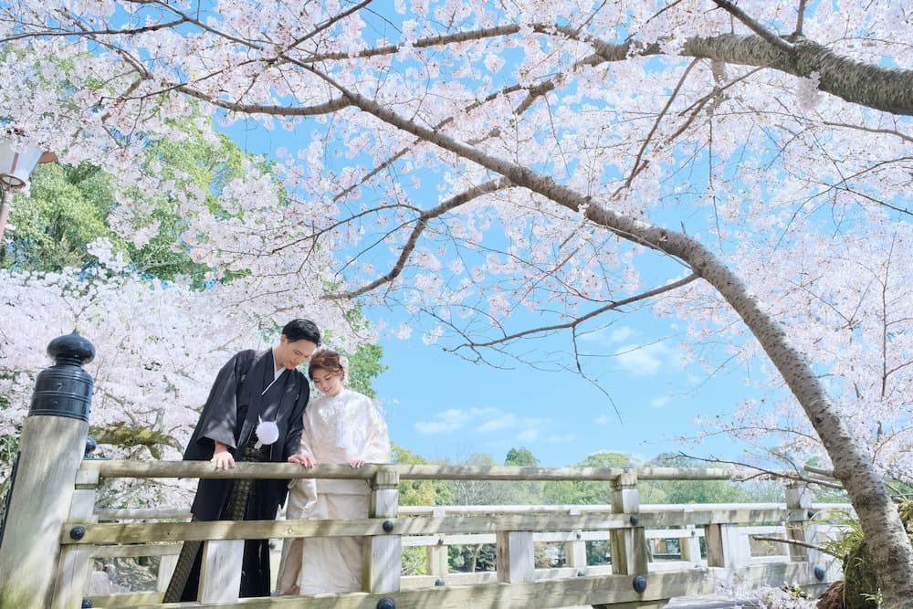奈良の桜の前でフォトウェディングをしている新郎新婦