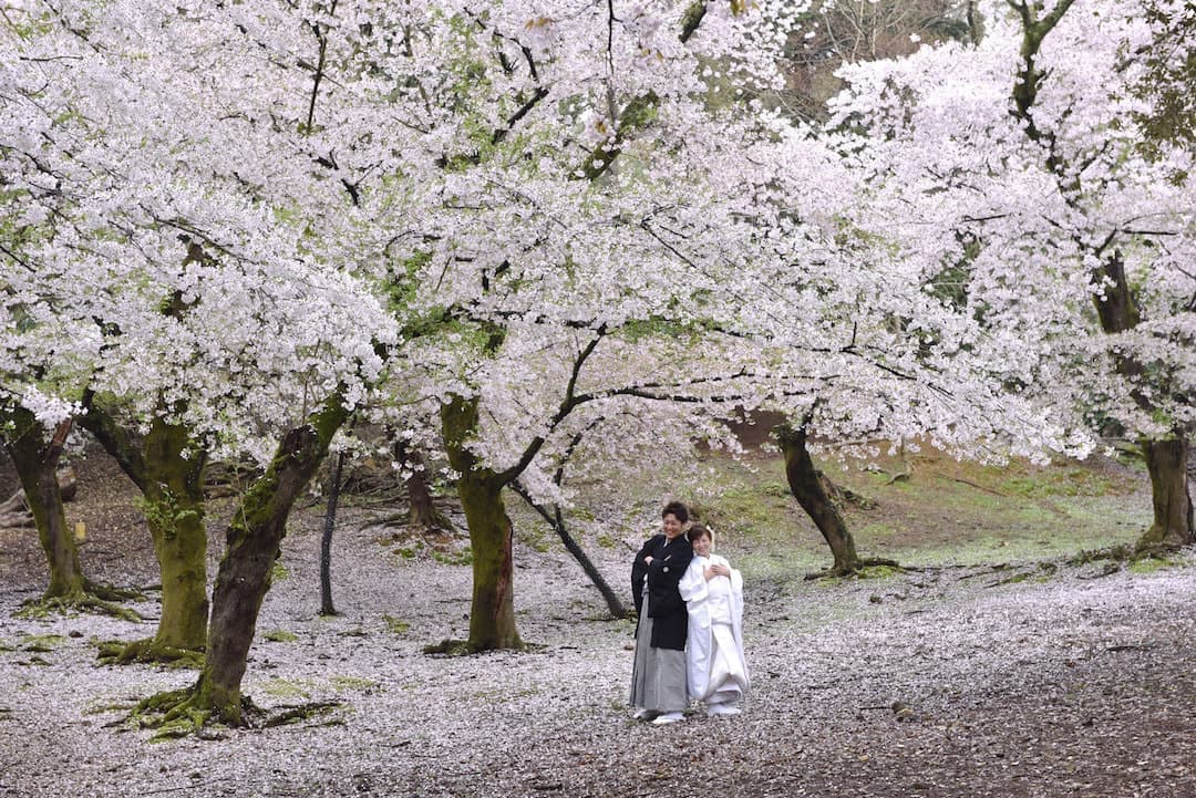 和装着物を着た花嫁様と紋付羽織袴の新郎様の写真