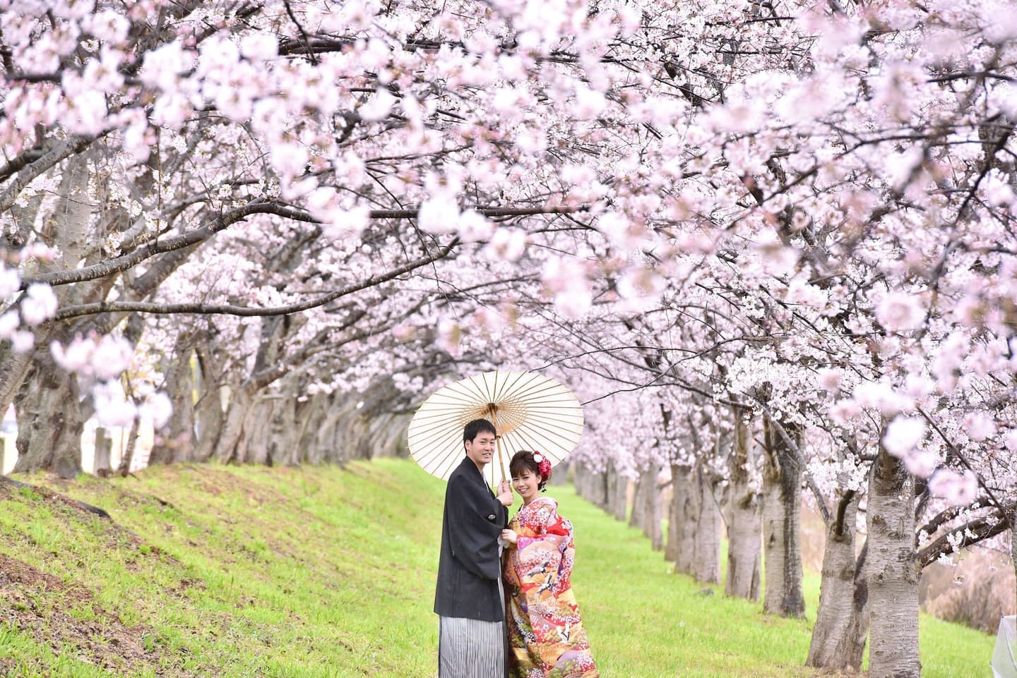 和装着物を着た花嫁様と紋付羽織袴の新郎様の写真