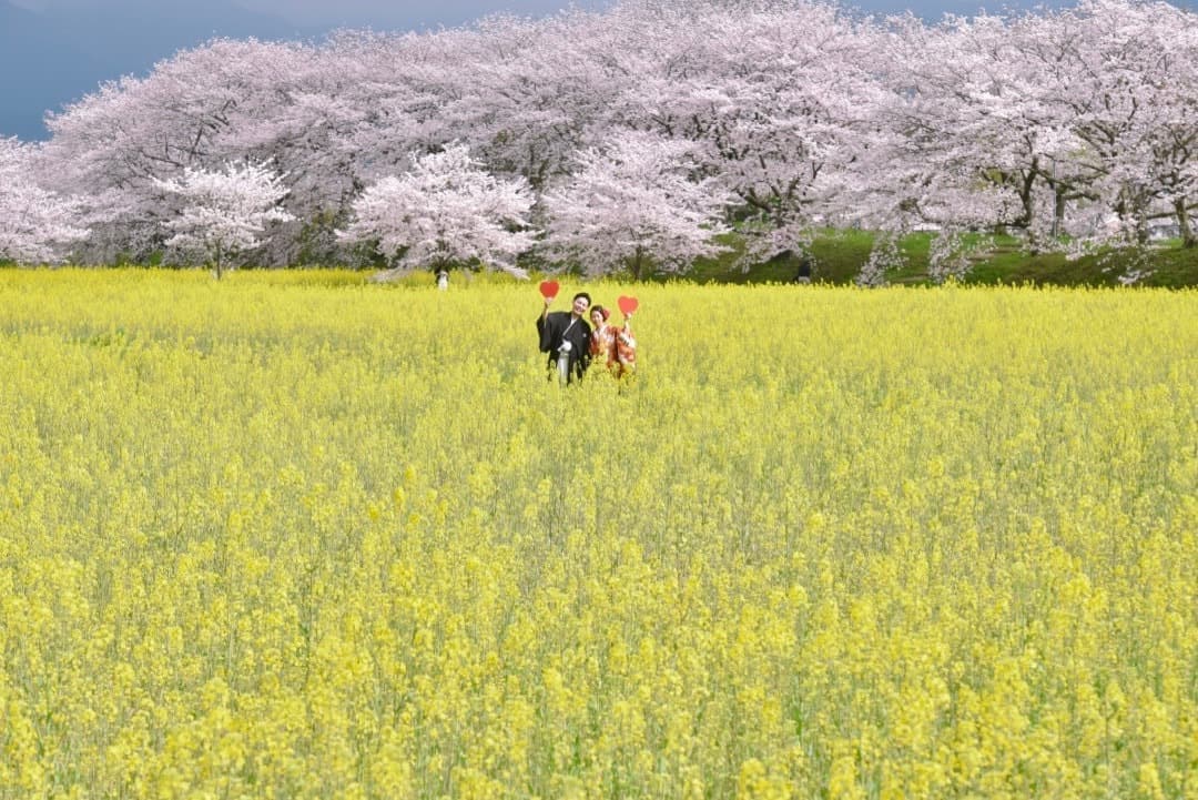 フォトウェディングの写真