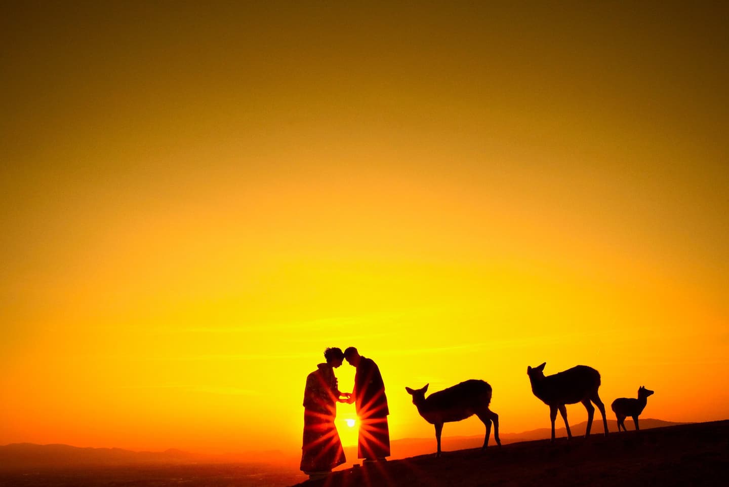 和装での奈良フォトウェディングの写真