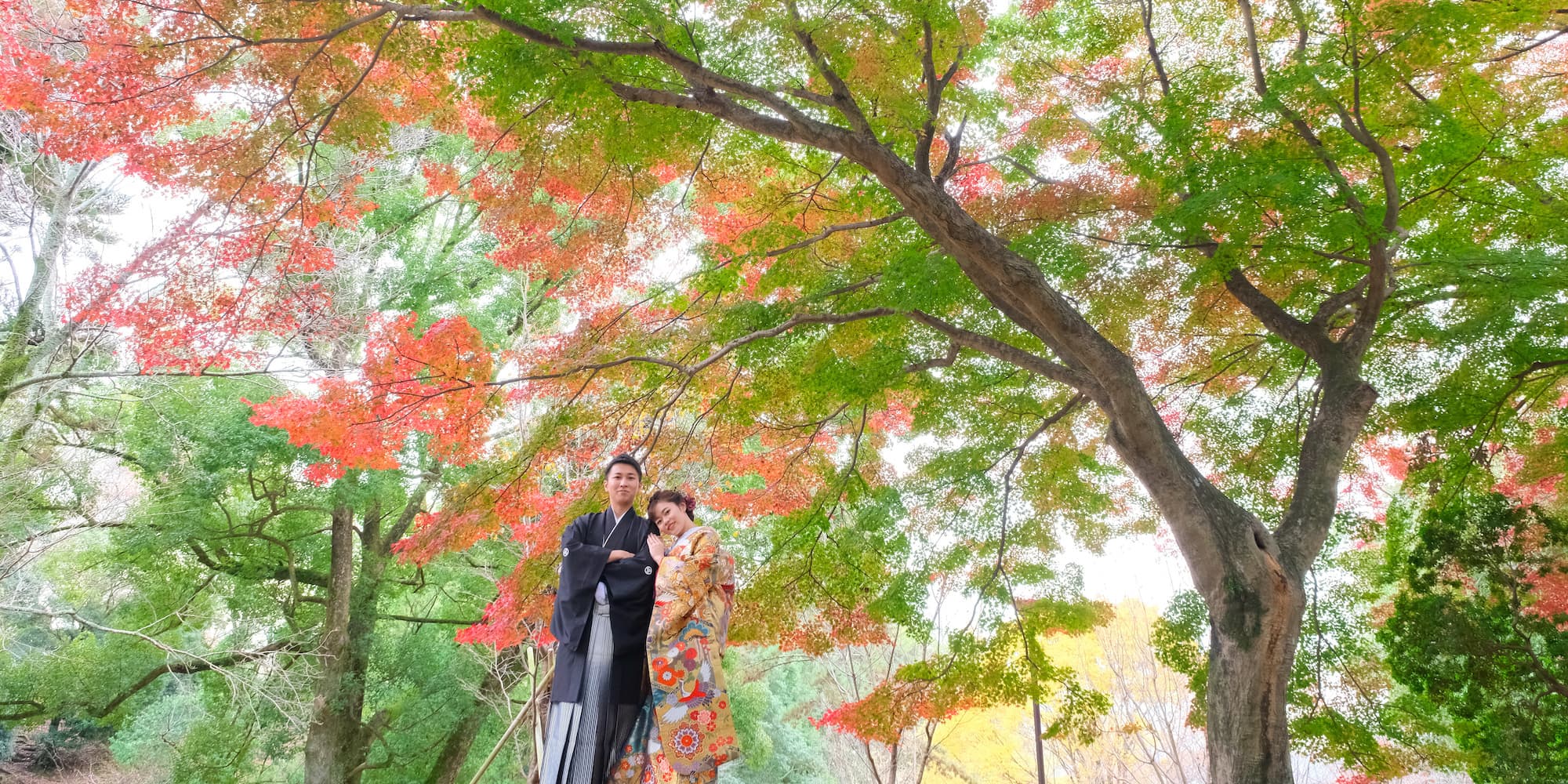 紅葉の下で色打掛を着た花嫁様と紋付羽織袴を着た新郎様が並んでいる